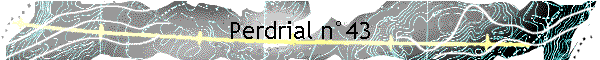 Perdrial n43