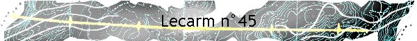 Lecarm n�45